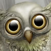 Cute Owl 2