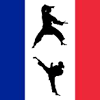 Kung Fu France